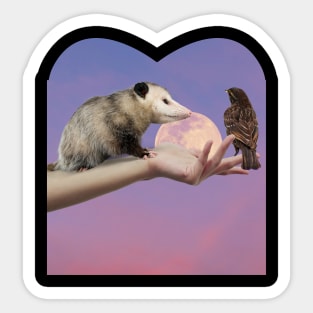 The opossum love Sticker